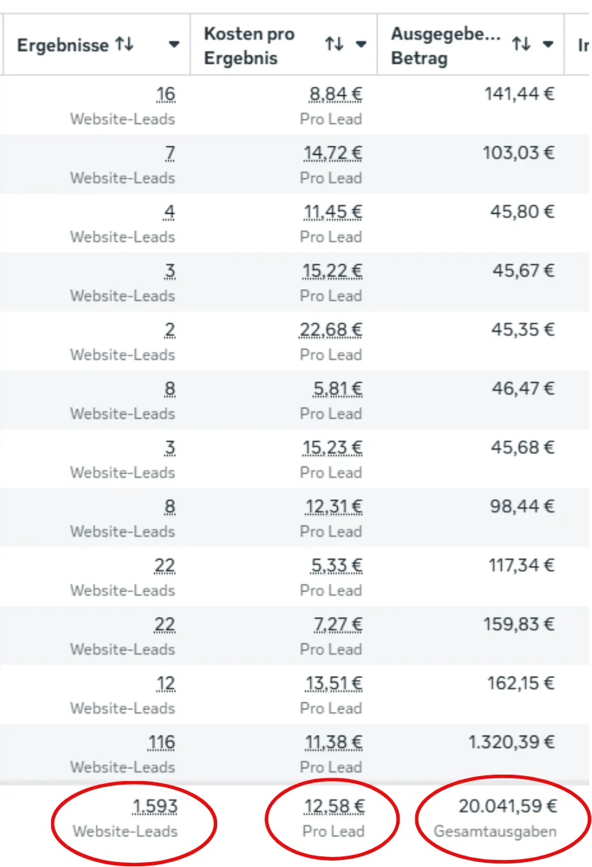 Ads Manager Screenshot: 1.593 Anfragen