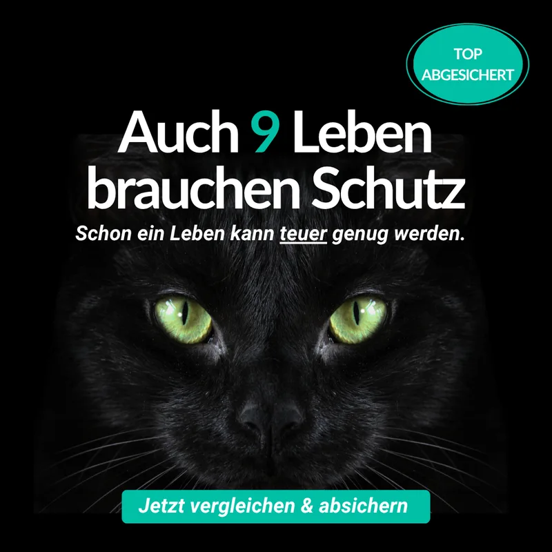 Meta Ad Creative: Tierversicherung
